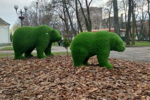 У Ковельському парку імені Лесі Українки встановили нові вічнозелені топіарні фігури ведмедів фото